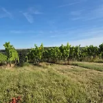 Sonnenschein Familie Hamdorf
