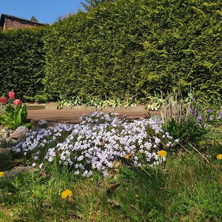 Sonnenschein Familie Hamdorf *
