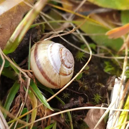 Διαμέρισμα Sonnenschein Familie Hamdorf *