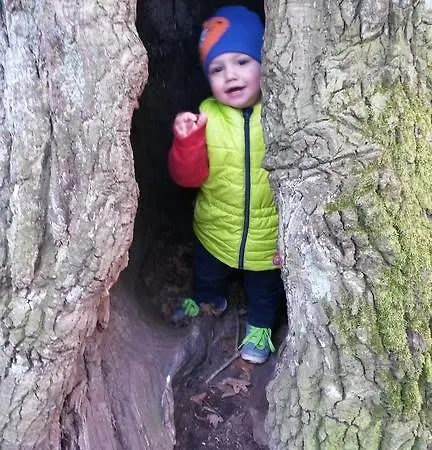 Sonnenschein Familie Hamdorf Διαμέρισμα *