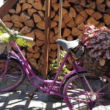 Sonnenschein Familie Hamdorf