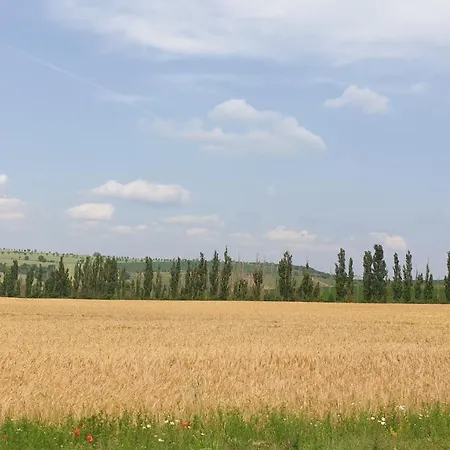 Διαμέρισμα Sonnenschein Familie Hamdorf Bad Sulza