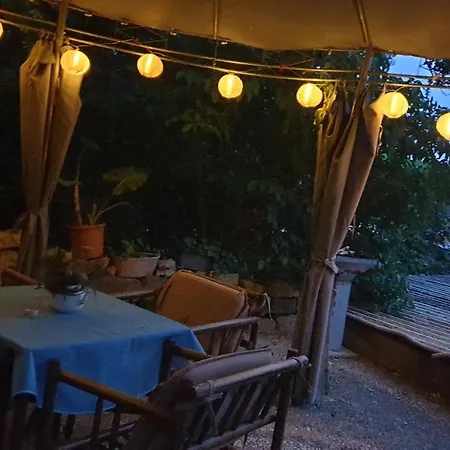 Sonnenschein Familie Hamdorf