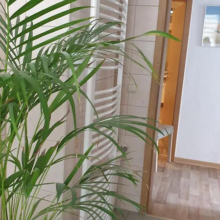 Sonnenschein Familie Hamdorf * Bad Sulza