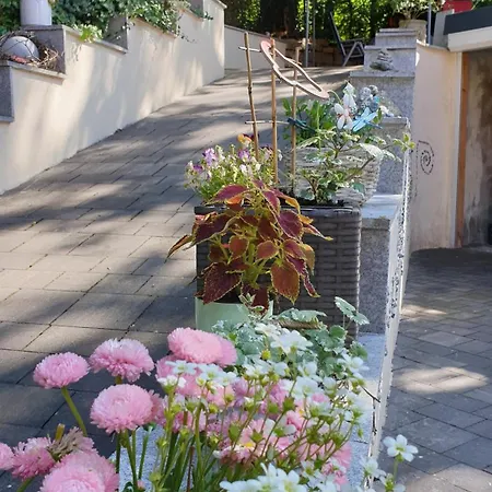 Sonnenschein Familie Hamdorf Appartement