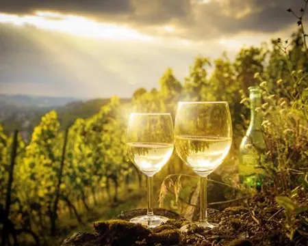 Sonnenschein Familie Hamdorf *