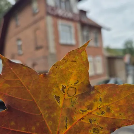 Апартаменты Sonnenschein Familie Hamdorf