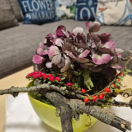 Sonnenschein Familie Hamdorf Bad Sulza