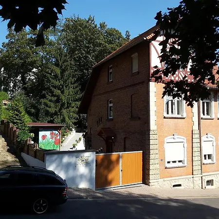 Sonnenschein Familie Hamdorf