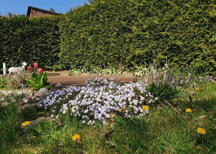 Sonnenschein Familie Hamdorf *
