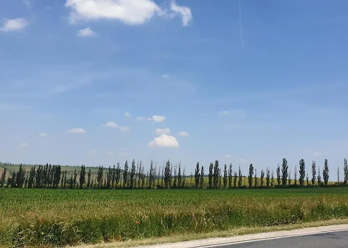 Sonnenschein Familie Hamdorf *