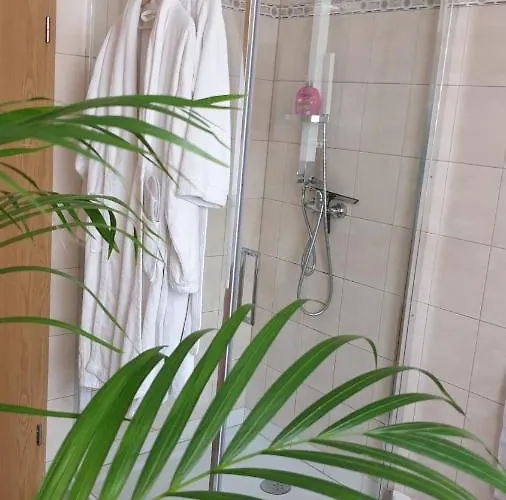 Sonnenschein Familie Hamdorf