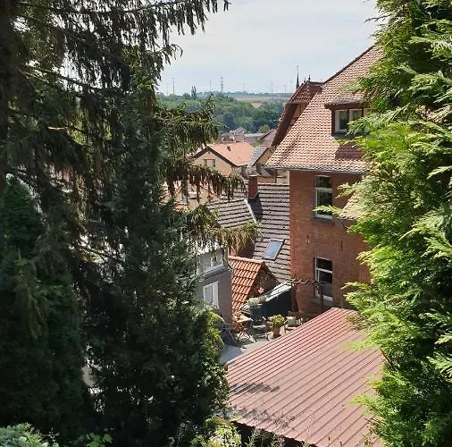 Sonnenschein Familie Hamdorf