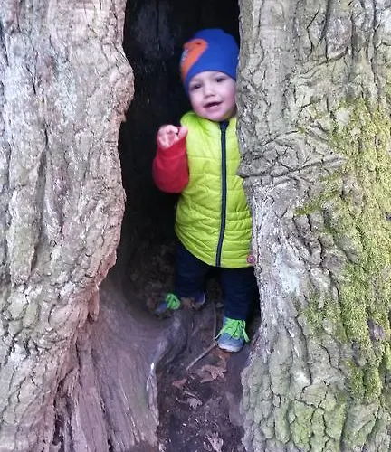 Sonnenschein Familie Hamdorf Appartement *