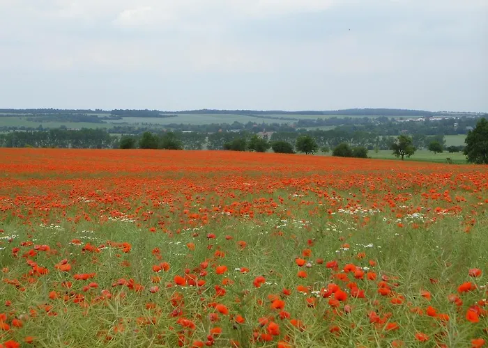 Sonnenschein Familie Hamdorf Апартаменты *