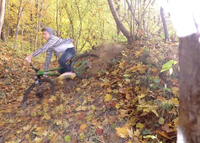 Sonnenschein Familie Hamdorf Appartement Bad Sulza