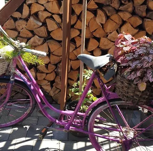 Sonnenschein Familie Hamdorf