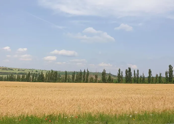 公寓 Sonnenschein Familie Hamdorf 巴特苏尔察