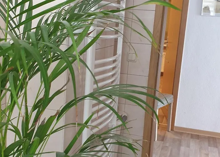 Sonnenschein Familie Hamdorf * Бад-Зульца