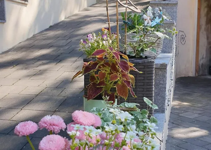 Sonnenschein Familie Hamdorf Апартаменты