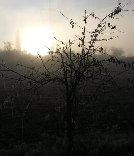 Sonnenschein Familie Hamdorf Апартаменты