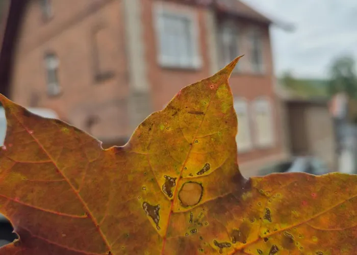 Appartement Sonnenschein Familie Hamdorf
