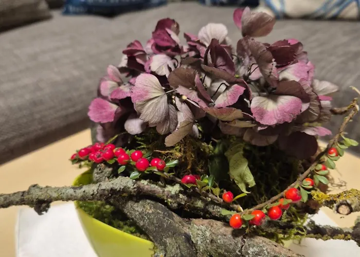 Sonnenschein Familie Hamdorf Бад-Зульца