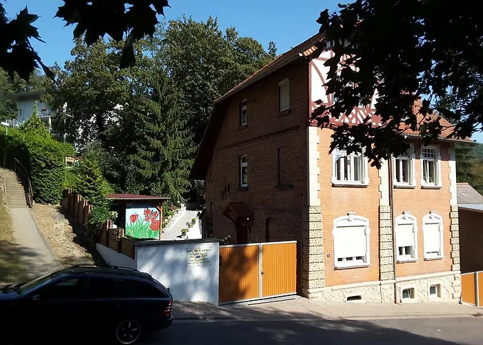 Sonnenschein Familie Hamdorf